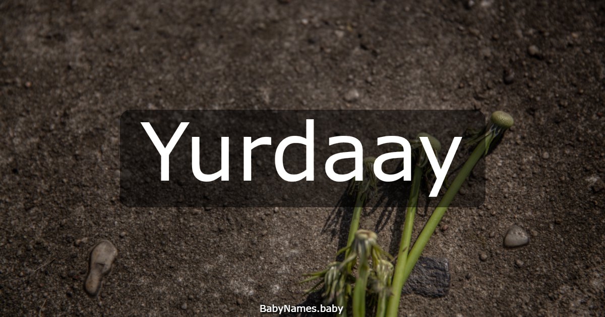 Yurdaay