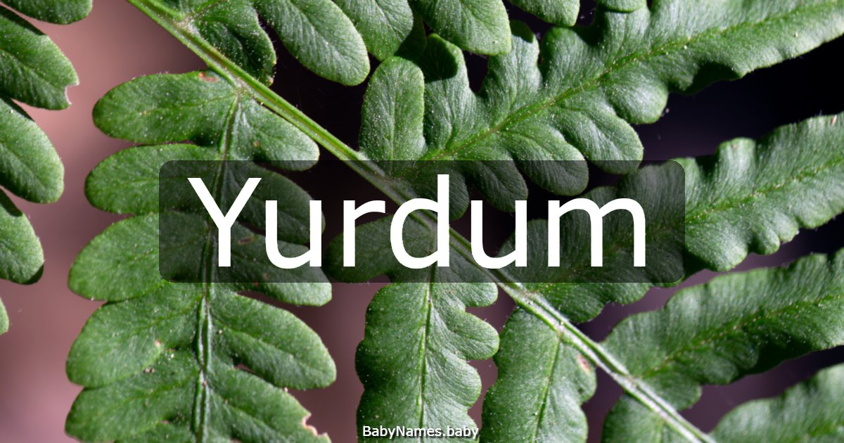 Yurdum