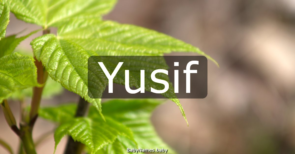 Yusif