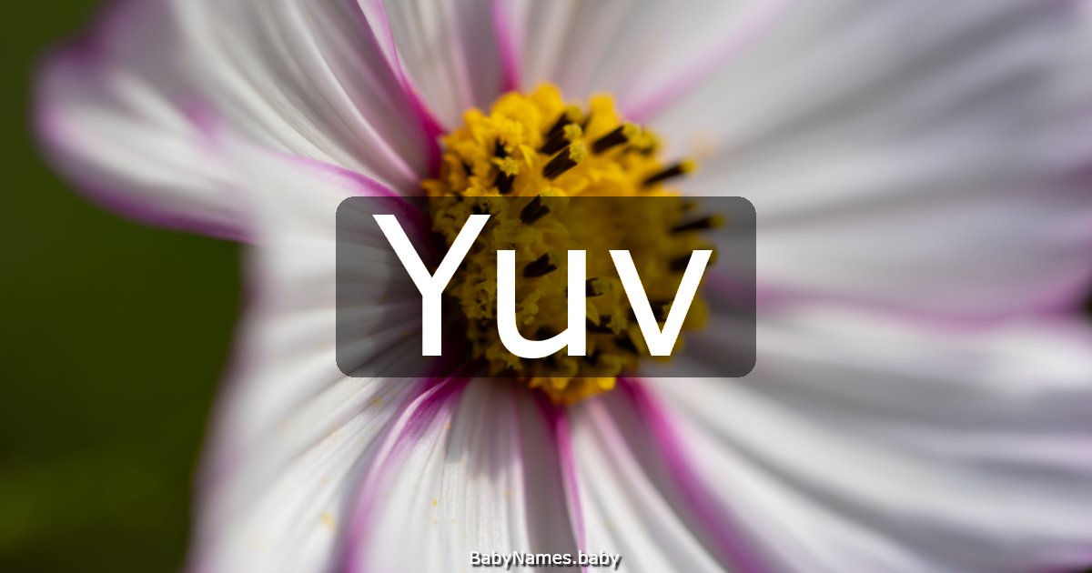 Yuv