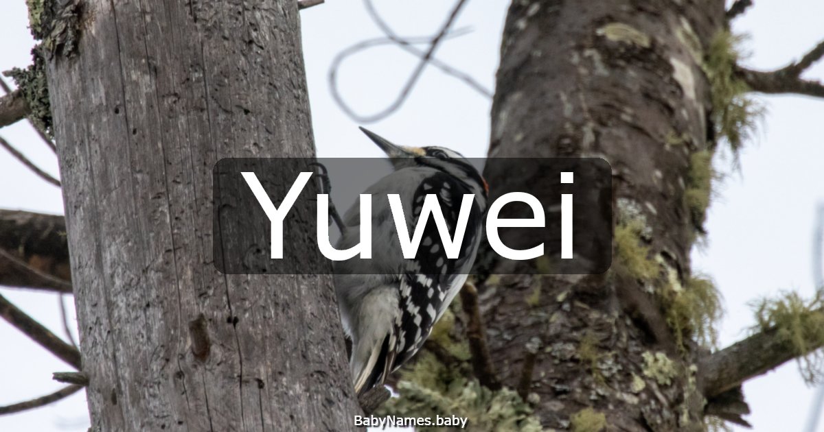 Yuwei