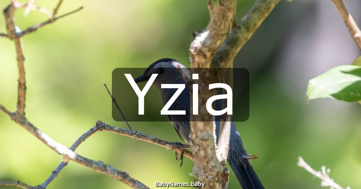 Yzia