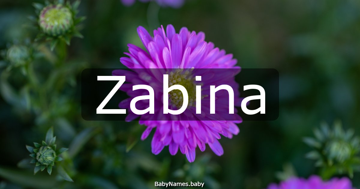 Zabina