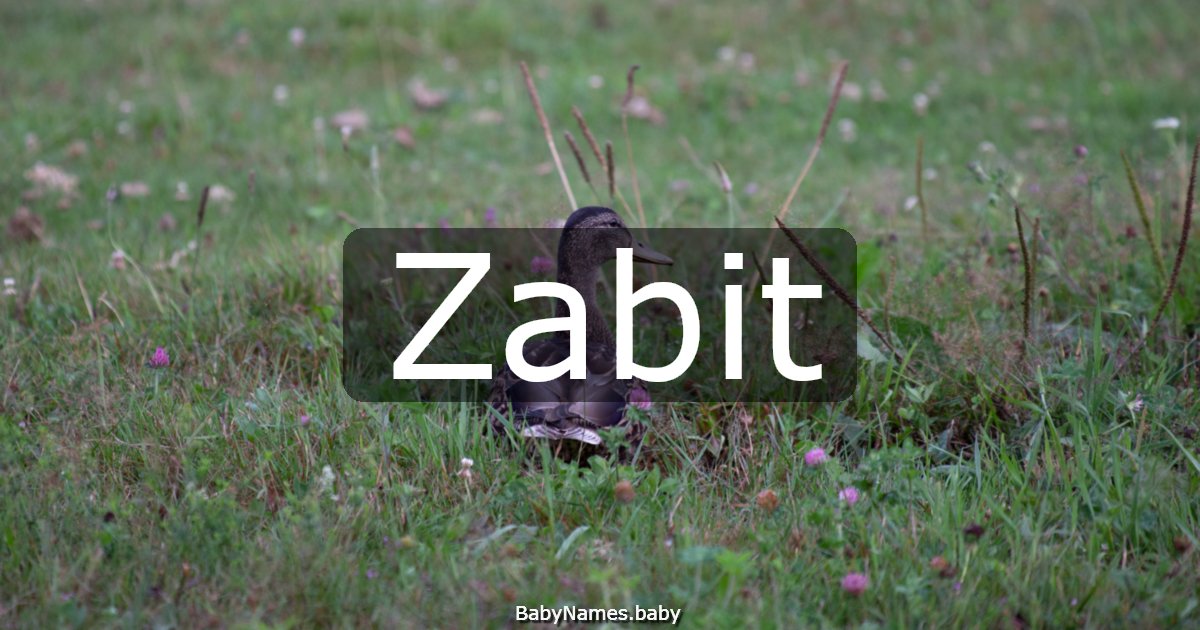 Zabit