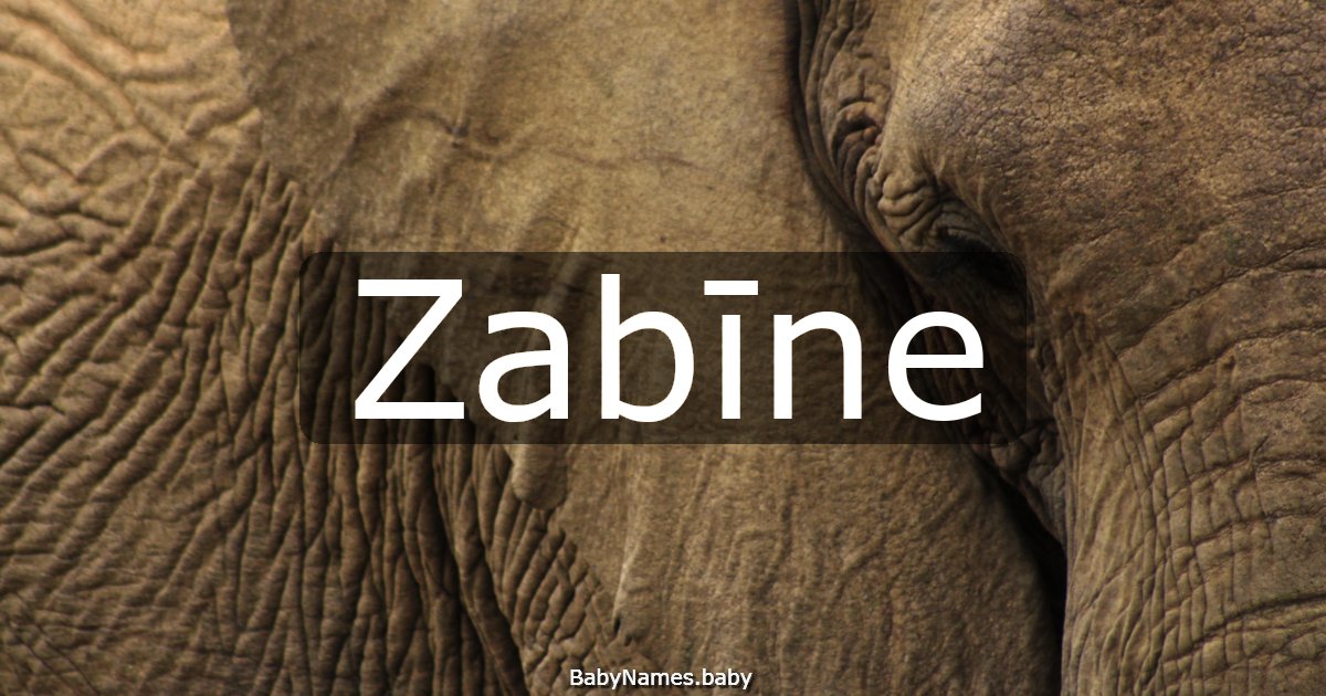 Zabīne