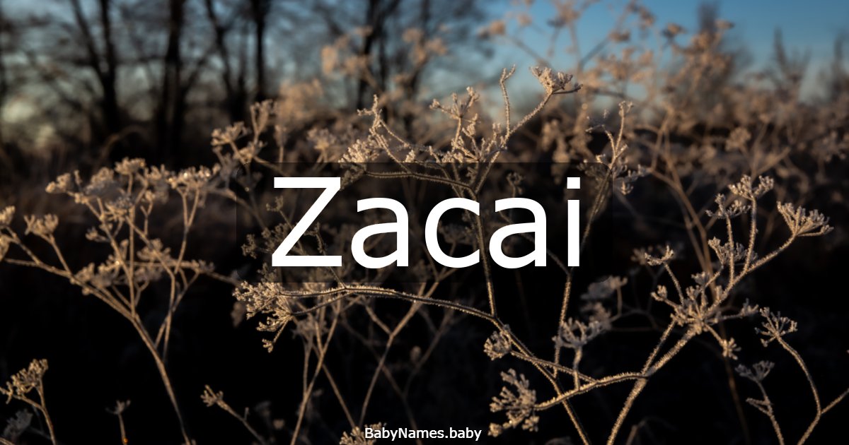 Zacai