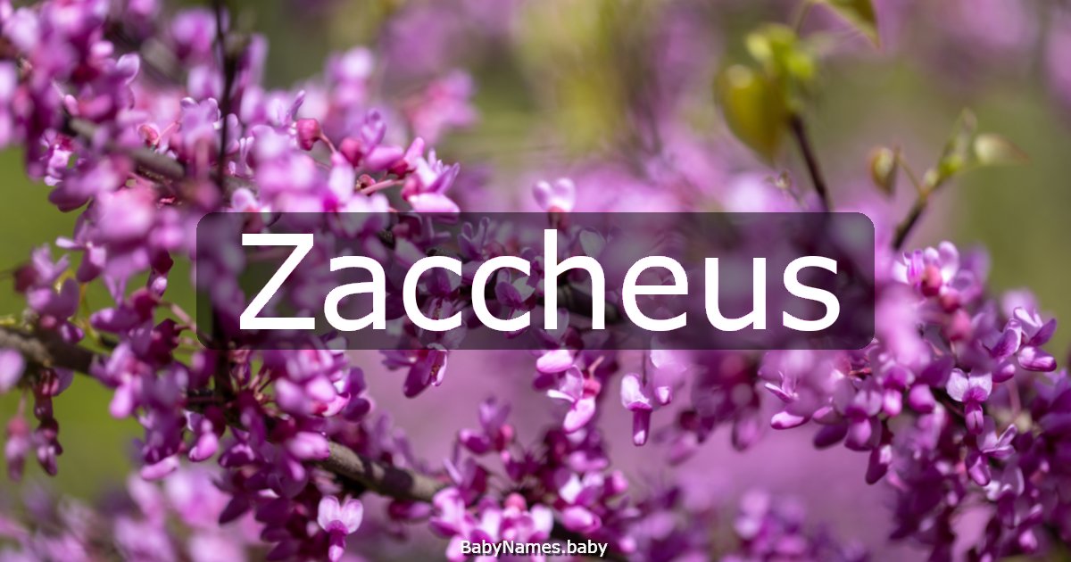 Zaccheus