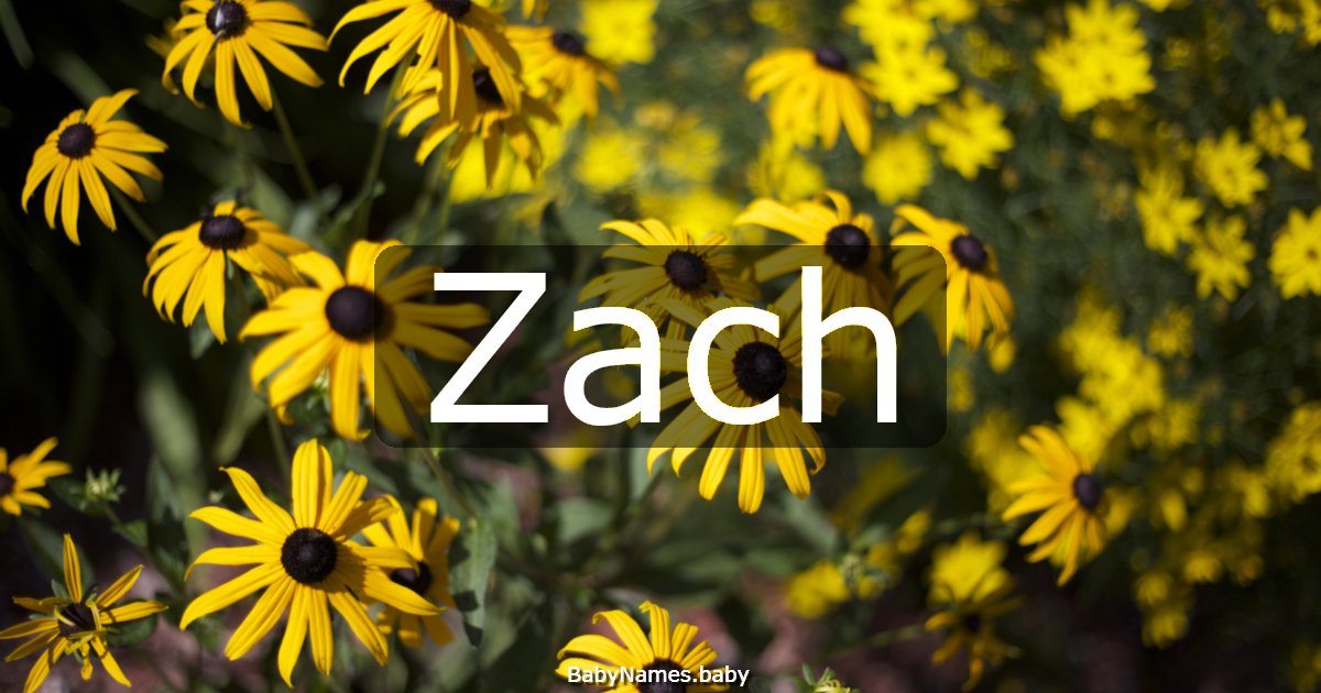 Zach