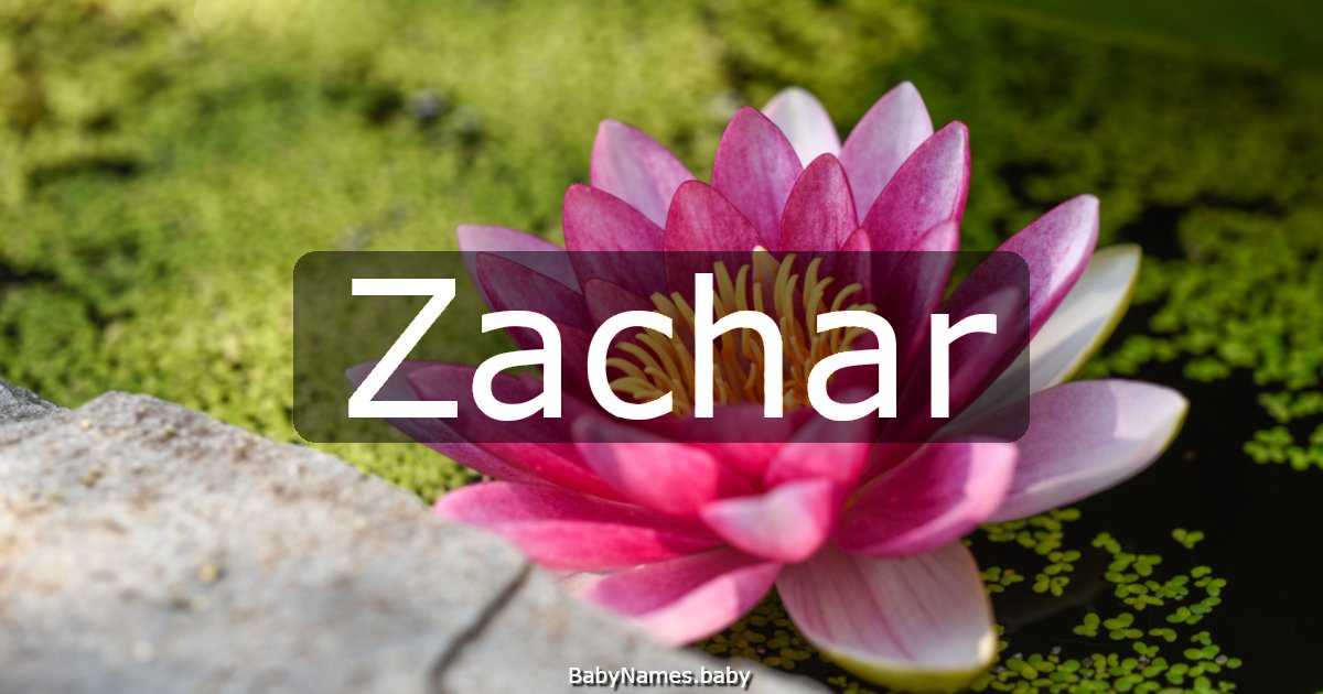 Zachar
