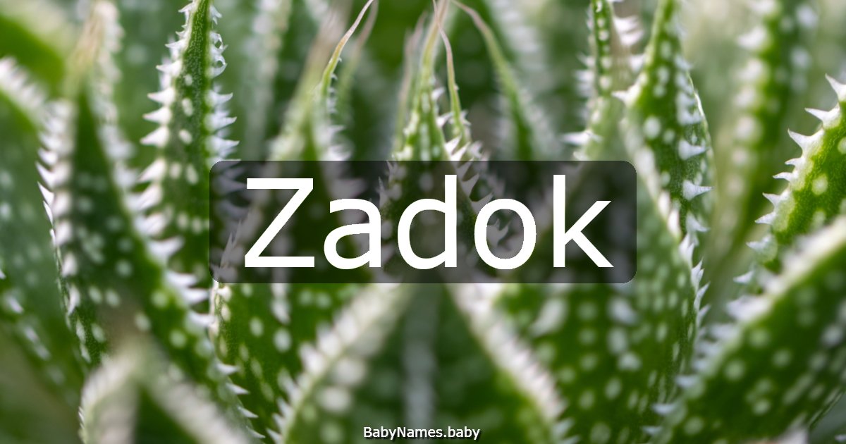 Zadok