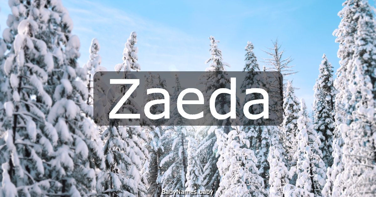 Zaeda