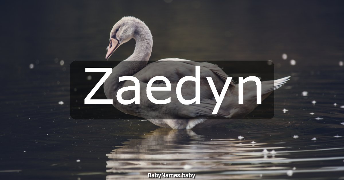 Zaedyn