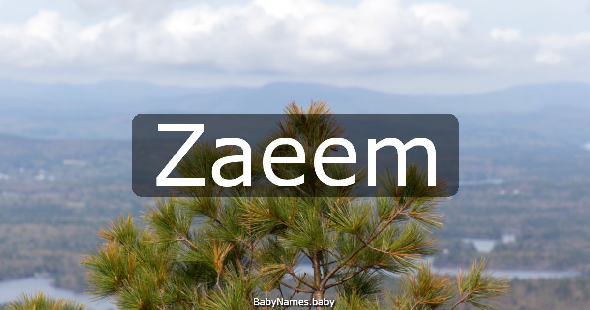 Zaeem