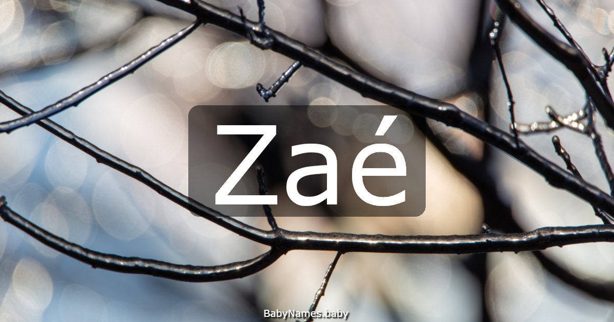 Zaé