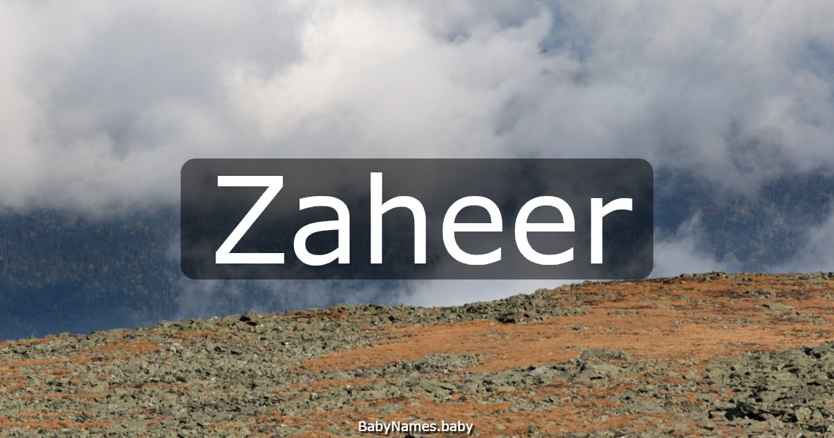 Zaheer