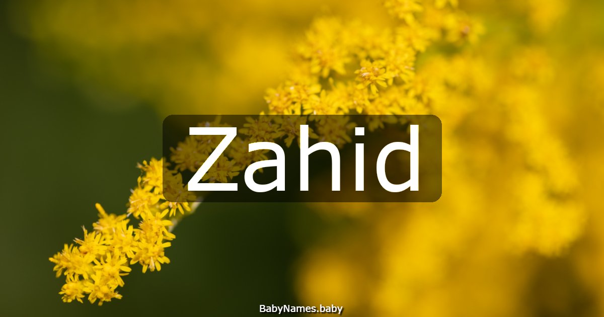 Zahid