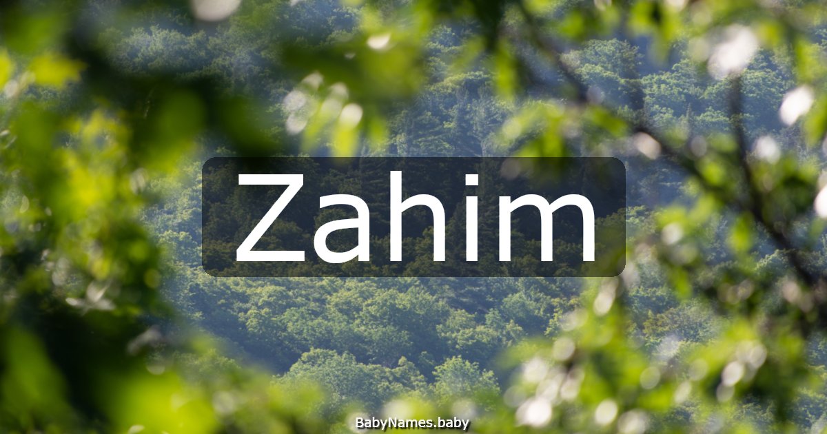 Zahim