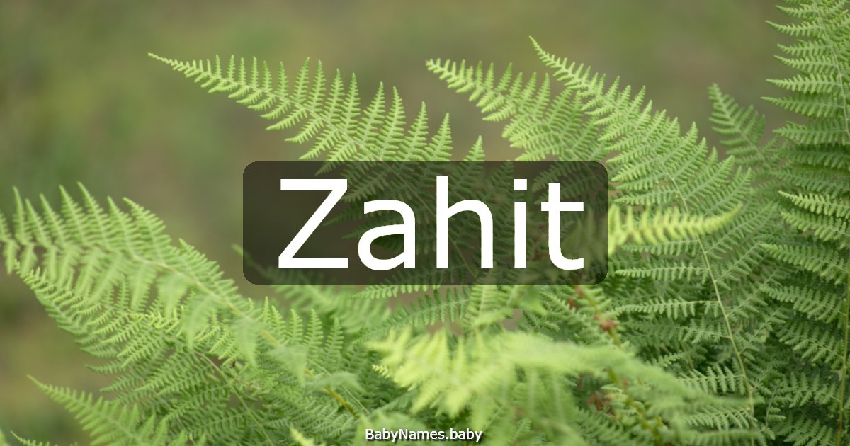 Zahit