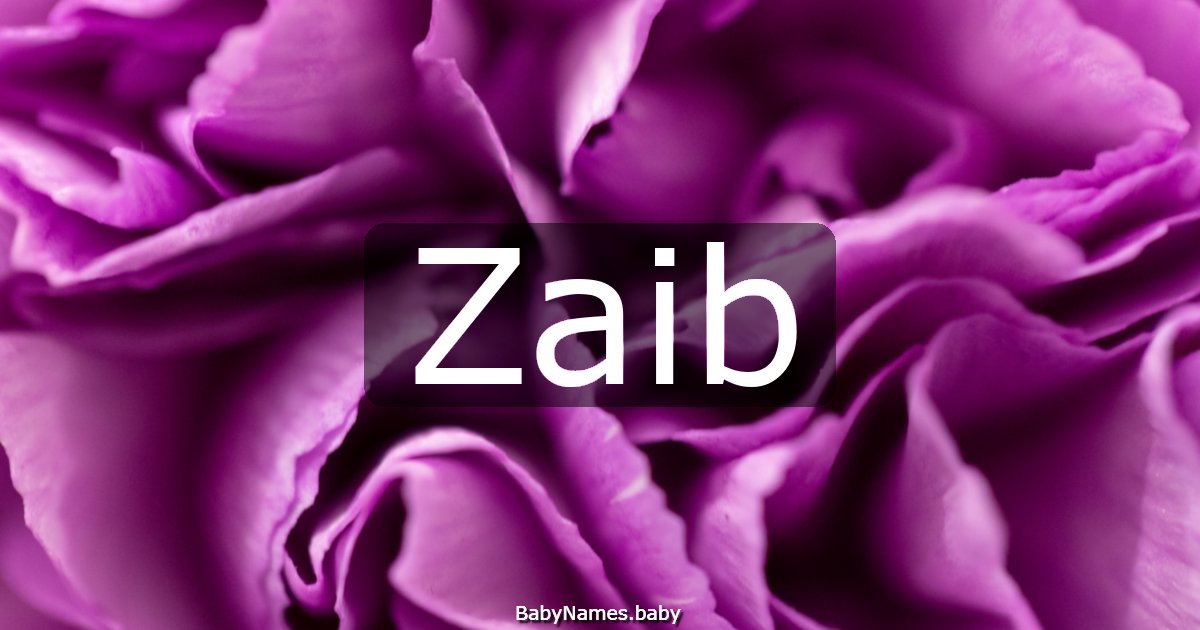 Zaib