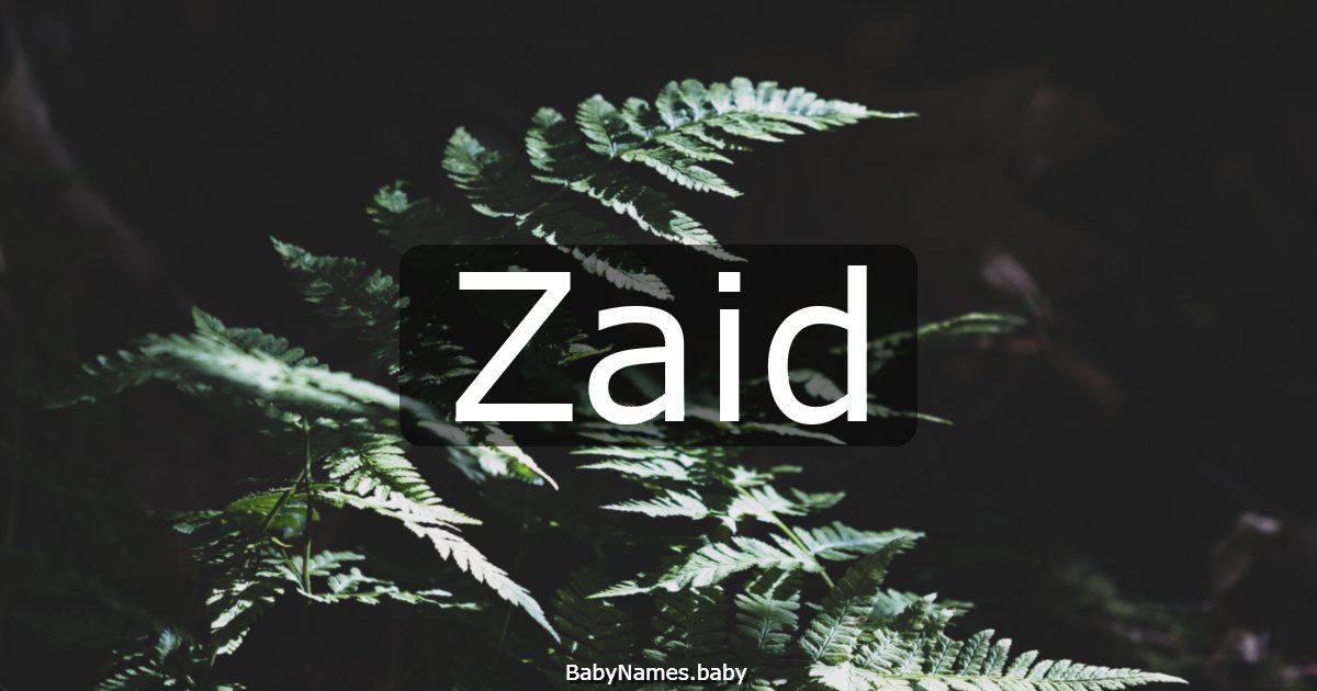 Zaid