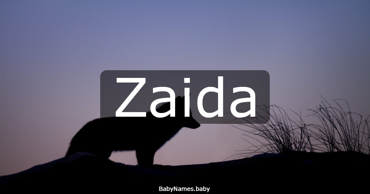 Zaida