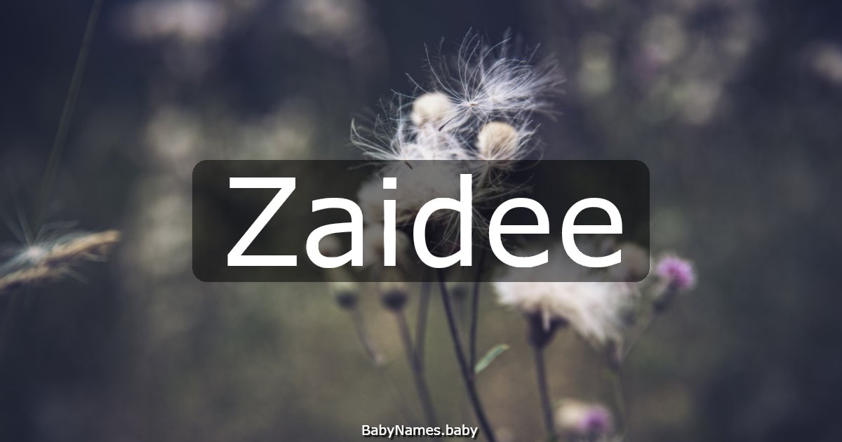 Zaidee