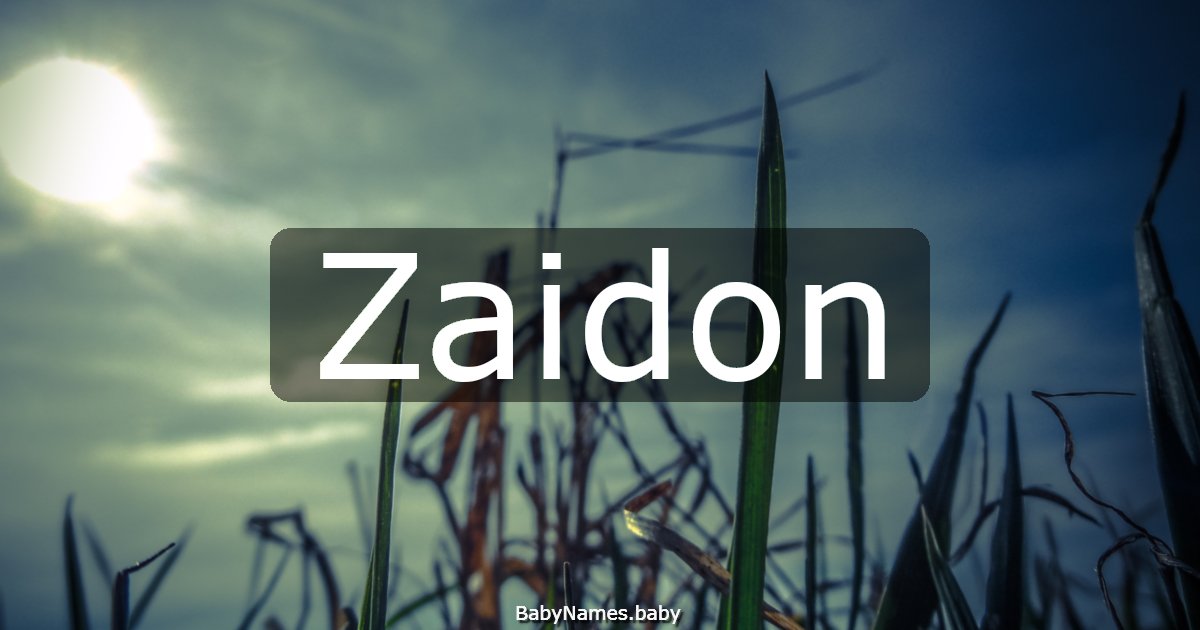 Zaidon