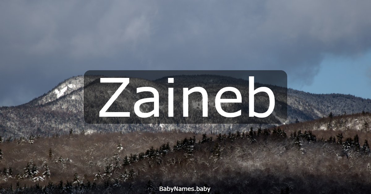 Zaineb