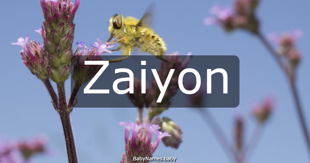Zaiyon