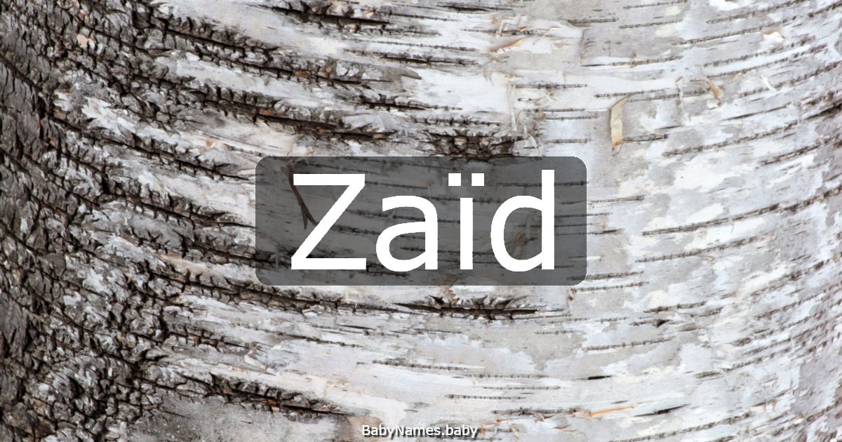 Zaïd