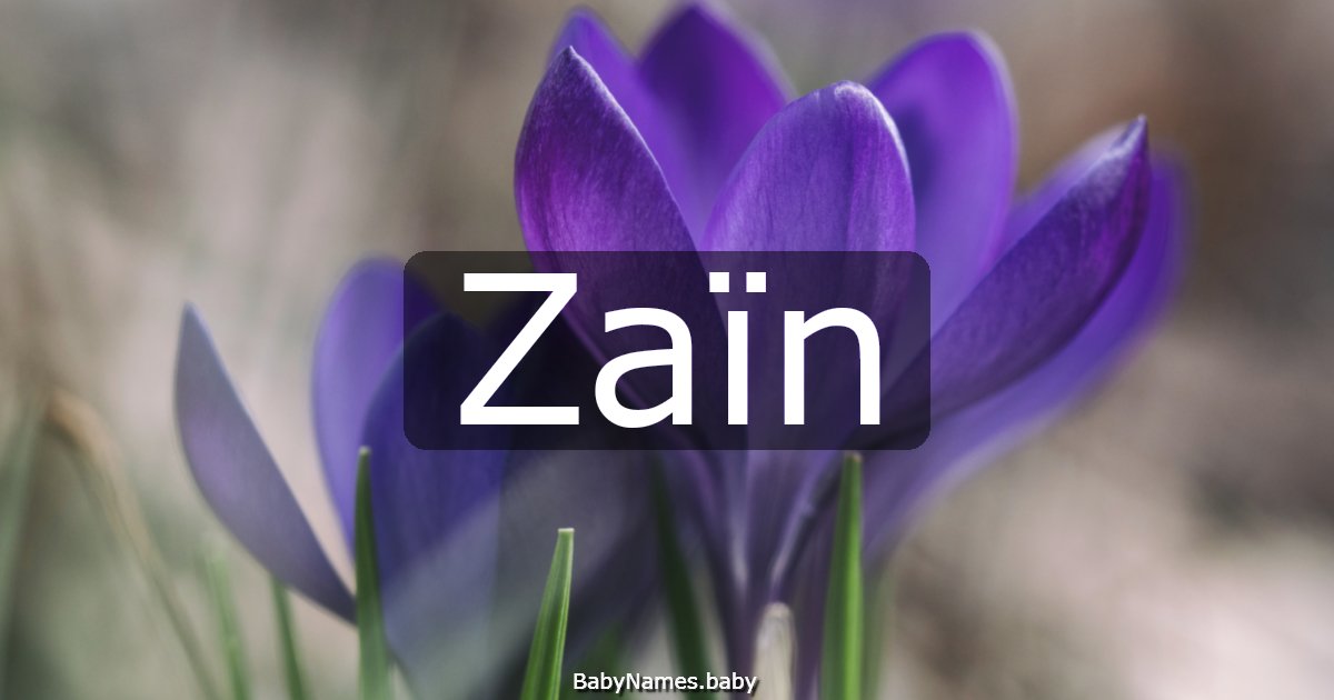 Zaïn