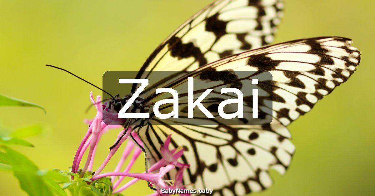 Zakai