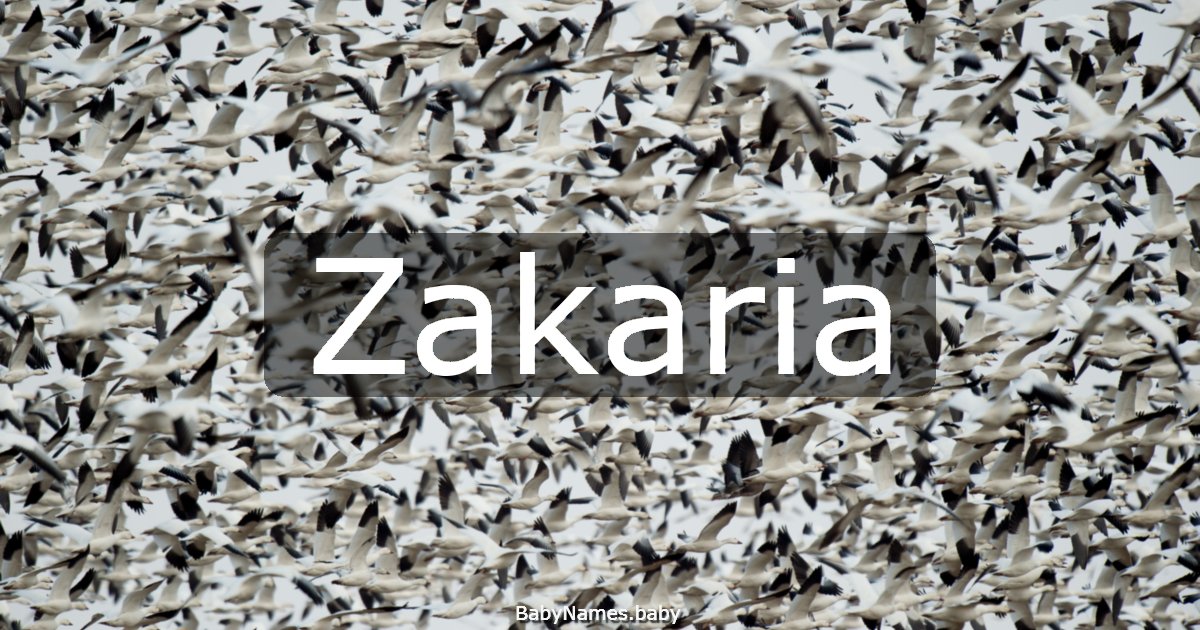 Zakaria
