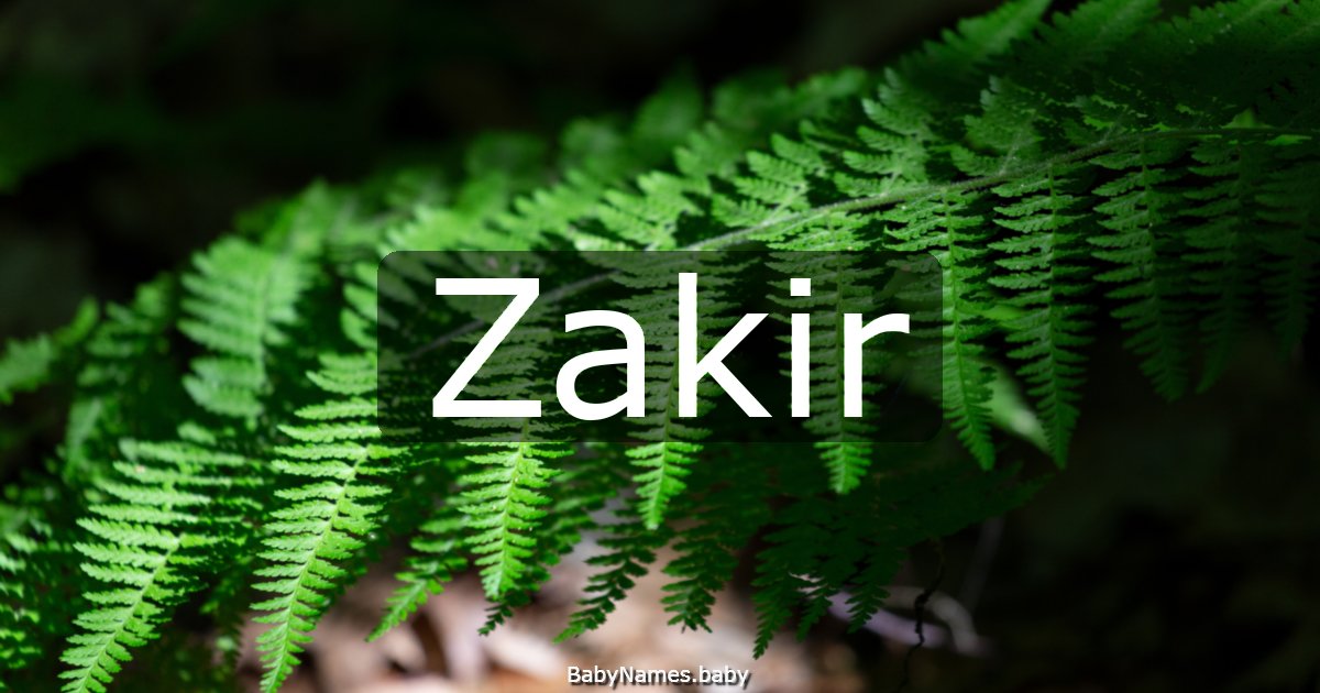 Zakir