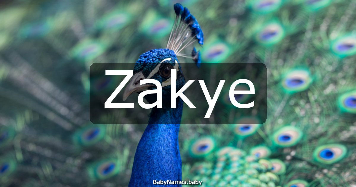 Zakye