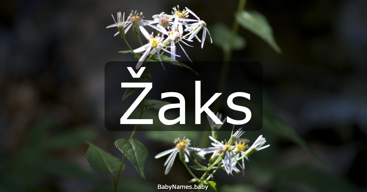 Žaks