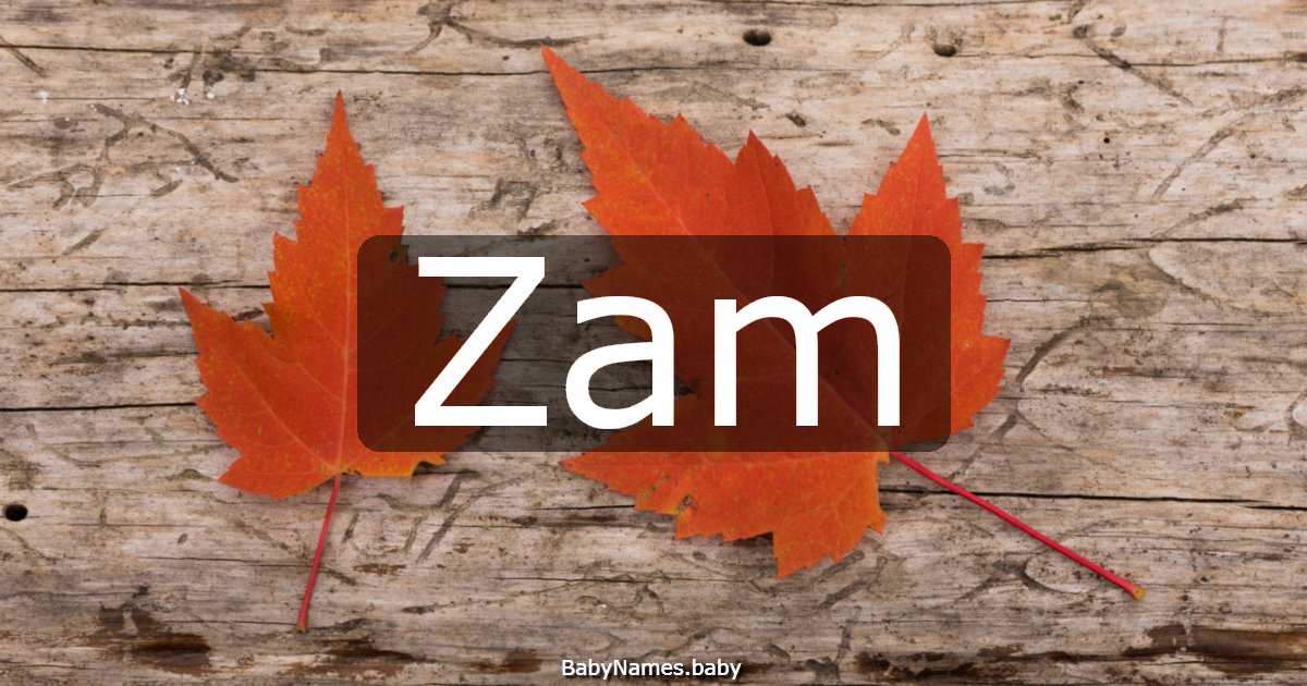 Zam