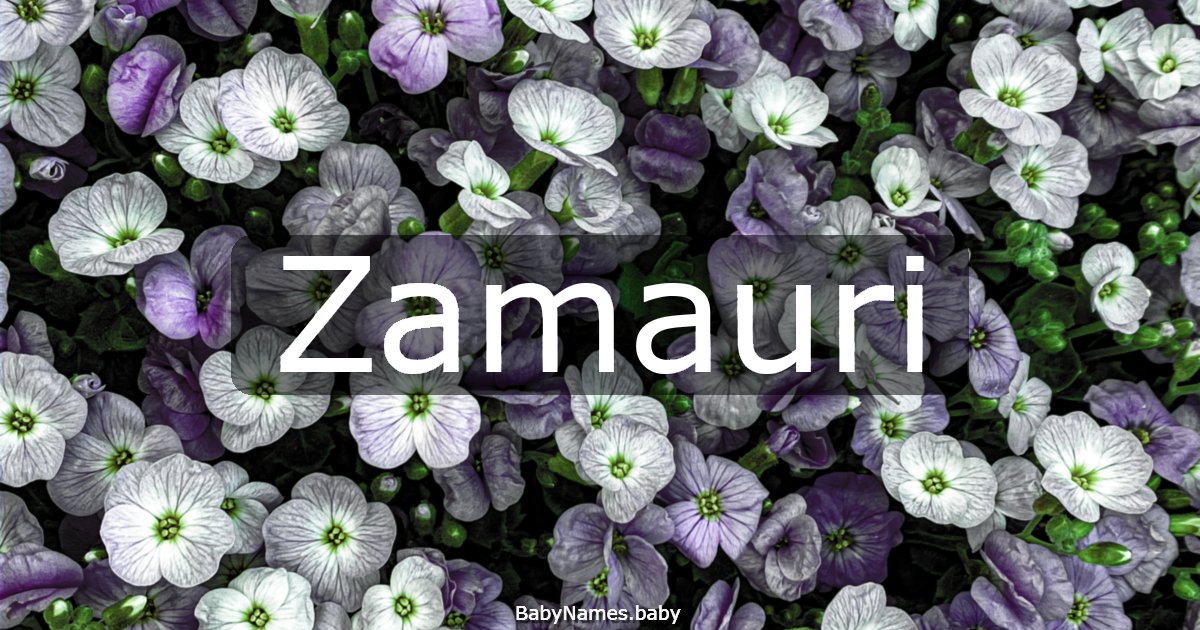 Zamauri