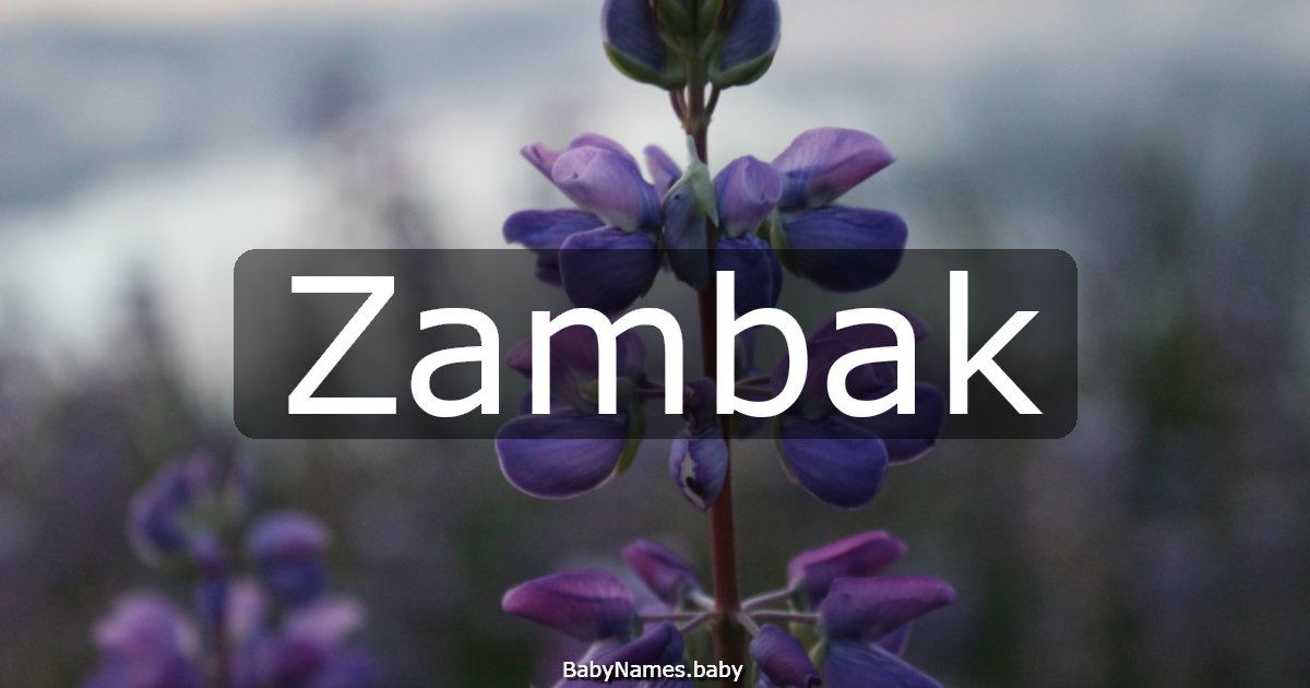 Zambak