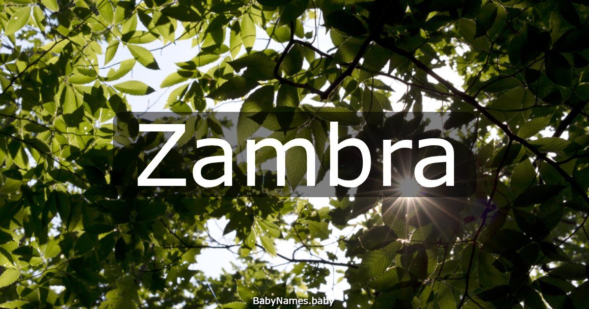 Zambra