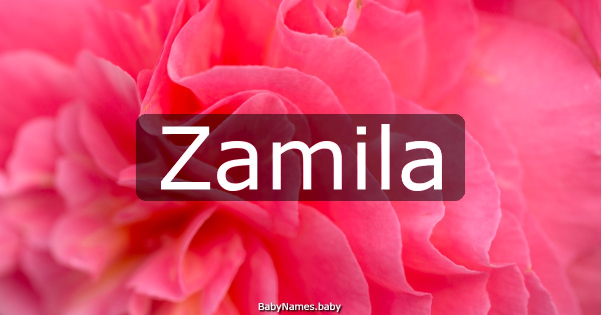 Zamila