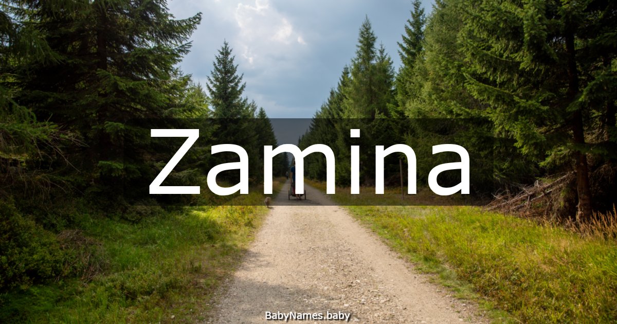 Zamina