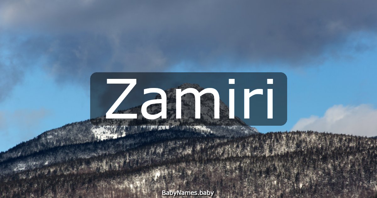 Zamiri