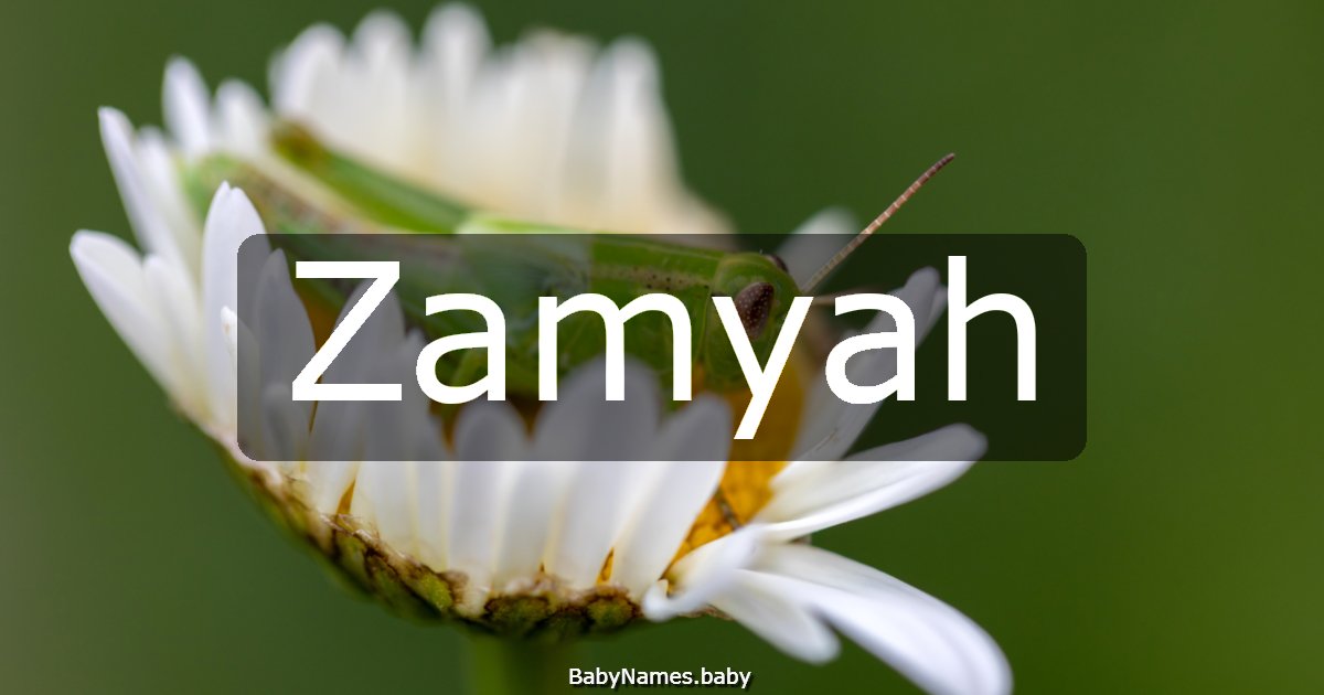 Zamyah
