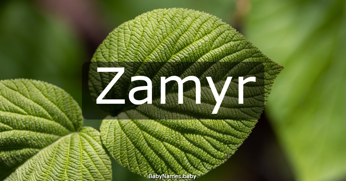 Zamyr