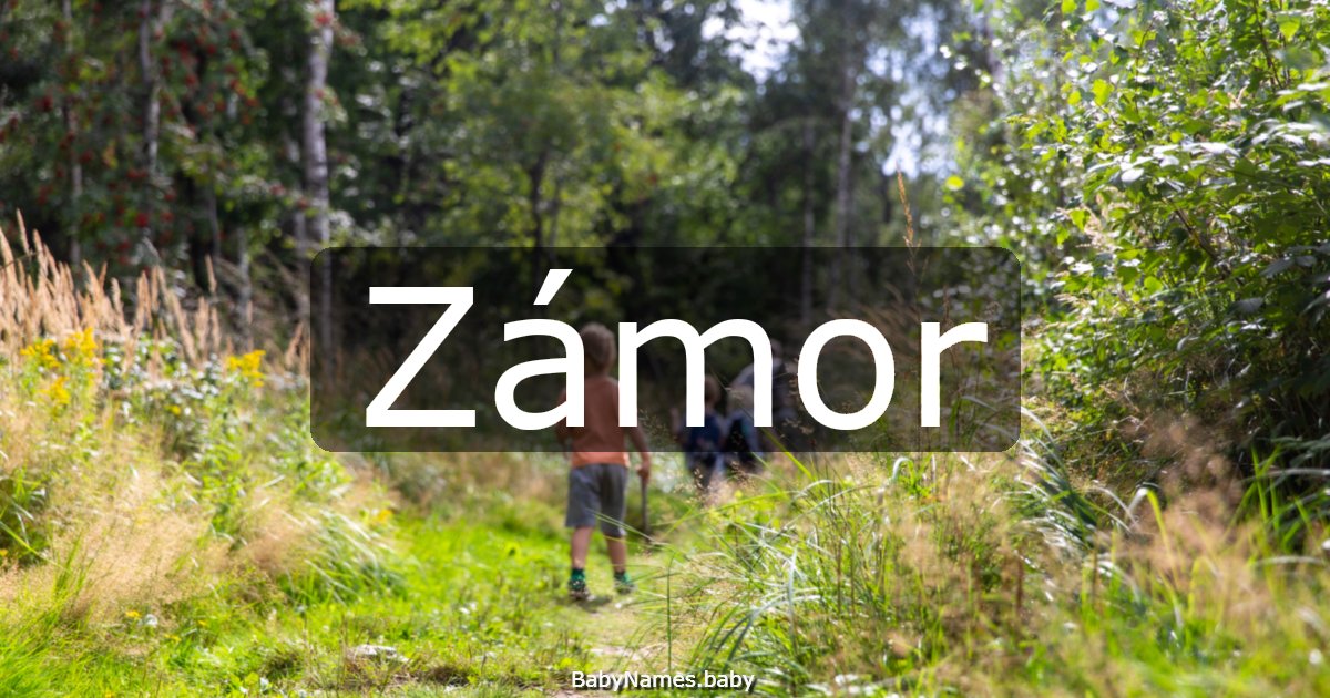Zámor
