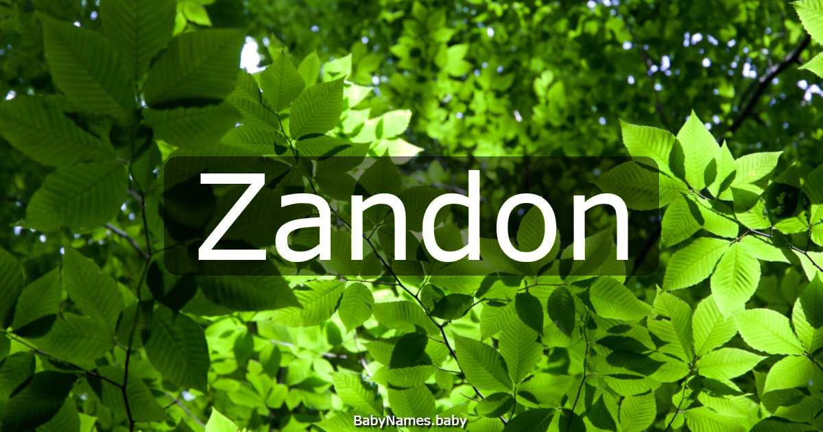 Zandon