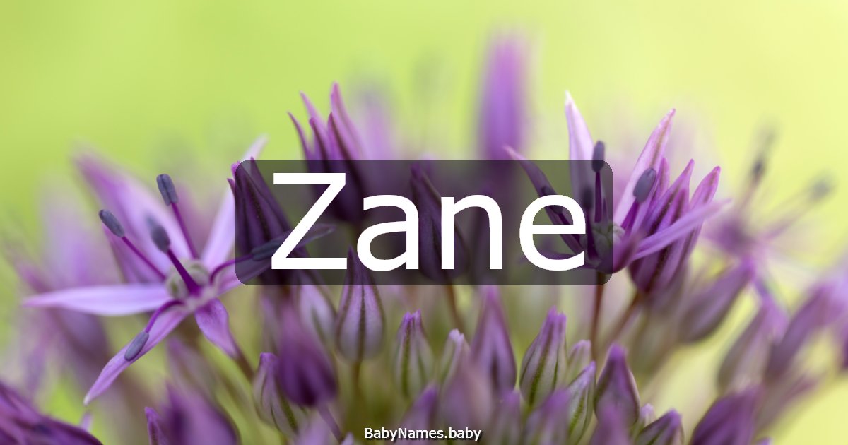 Zane