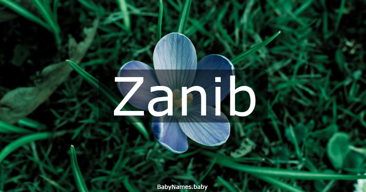 Zanib