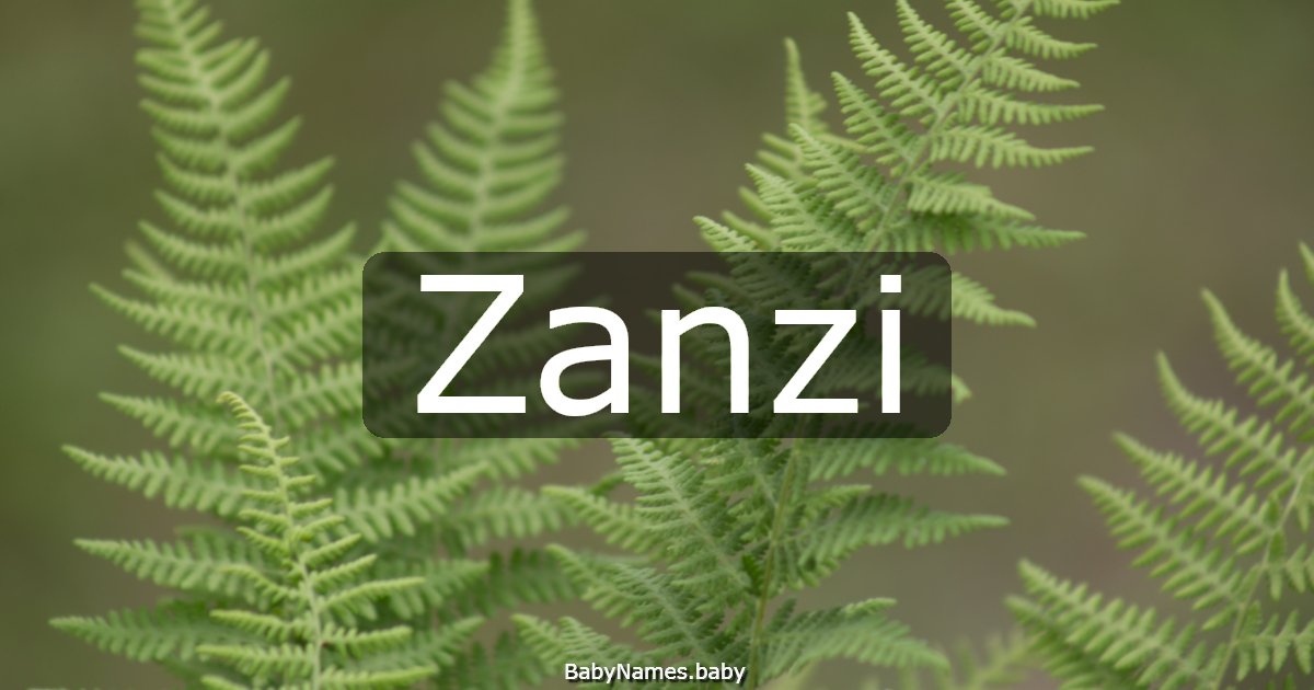 Zanzi